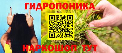 spice Кунгур