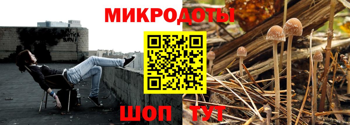 Галлюциногенные грибы MAGIC MUSHROOMS Киселёвск