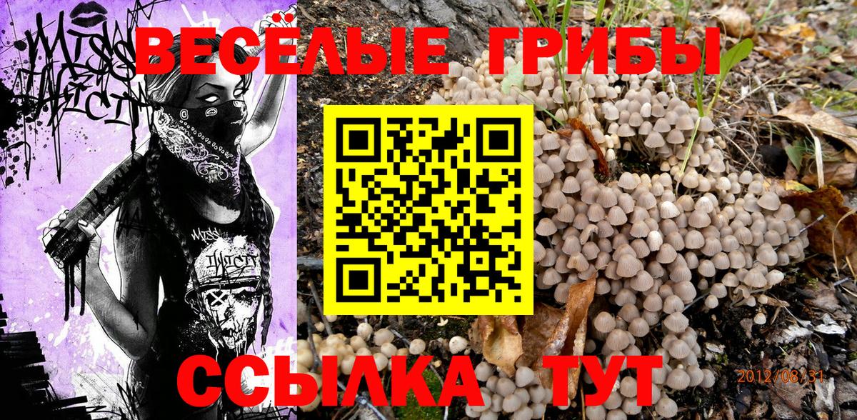 Псилоцибиновые грибы MAGIC MUSHROOMS  Псилоцибиновые грибы Magic Shrooms  Вход с VPN  Киселёвск 